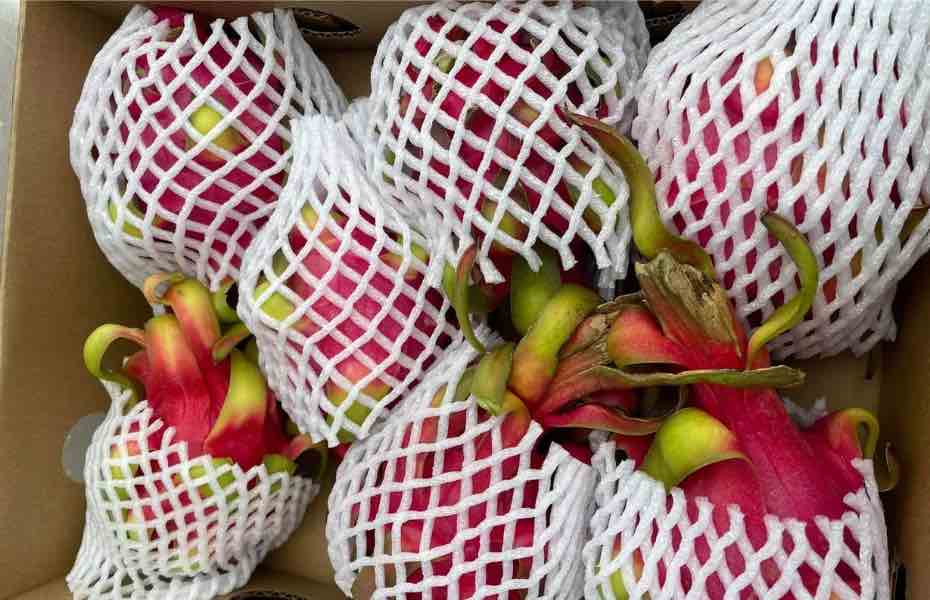 Asiatiske Supermarkeder Aarhus