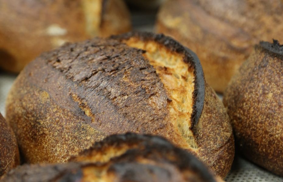 David BreadHead