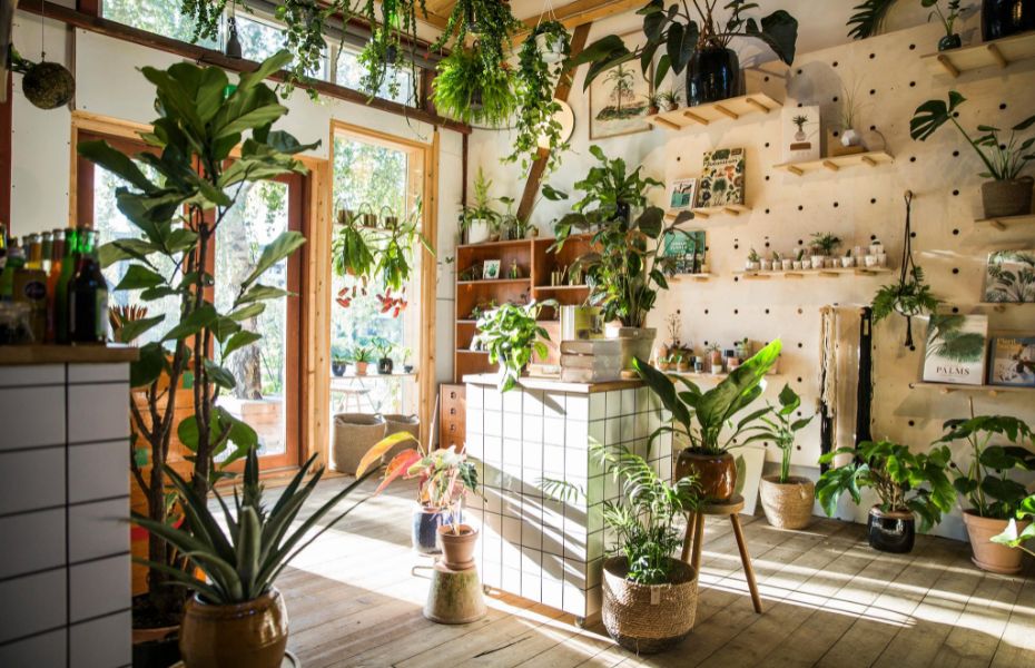 Plukk - Caféer i Aarhus