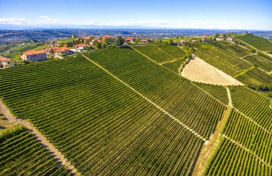 Winemaker's